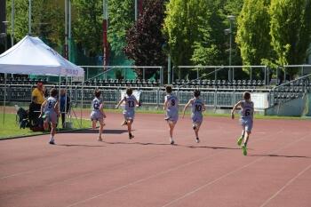 IMG_6962.JPG