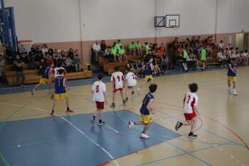 IMG_4233.JPG