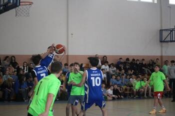 IMG_4267.JPG