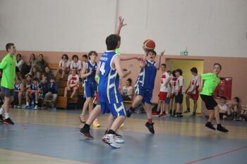 IMG_4290.JPG