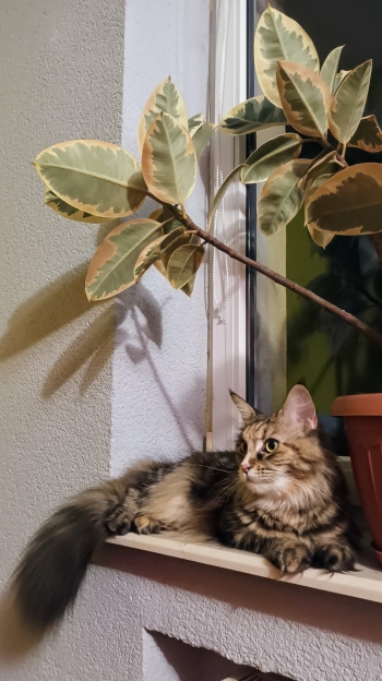 a.kawiecka