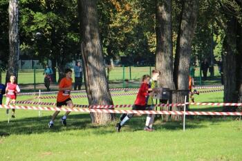 IMG_2442.JPG
