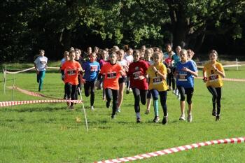 IMG_2445.JPG