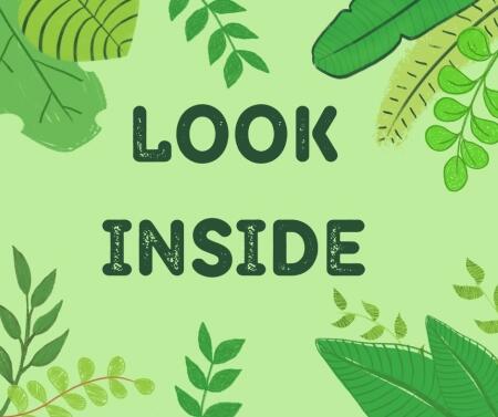 Look inside